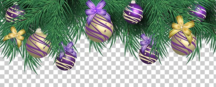Christmas Ornament Purple PNG, Clipart, Balls, Blog, Branch, Christmas, Christmas Clipart Free PNG Download