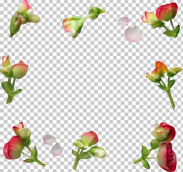 Flower International Women's Day PNG, Clipart, Blume, Cut Flowers, Floral Design, Flower, Flowering Plant Free PNG Download