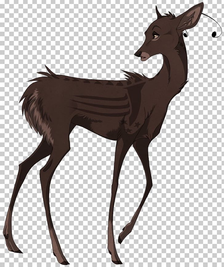 Reindeer Musk Deer Elk White-tailed Deer PNG, Clipart, Animal, Animals, Antelope, Antler, Deer Free PNG Download