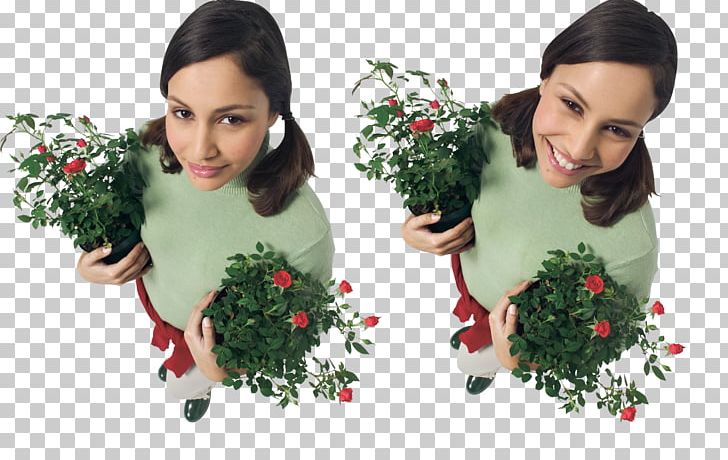 Woman Portable Network Graphics Floral Design Garden Roses JPEG PNG, Clipart, Christmas, Christmas Decoration, Christmas Ornament, Decor, Floral Design Free PNG Download