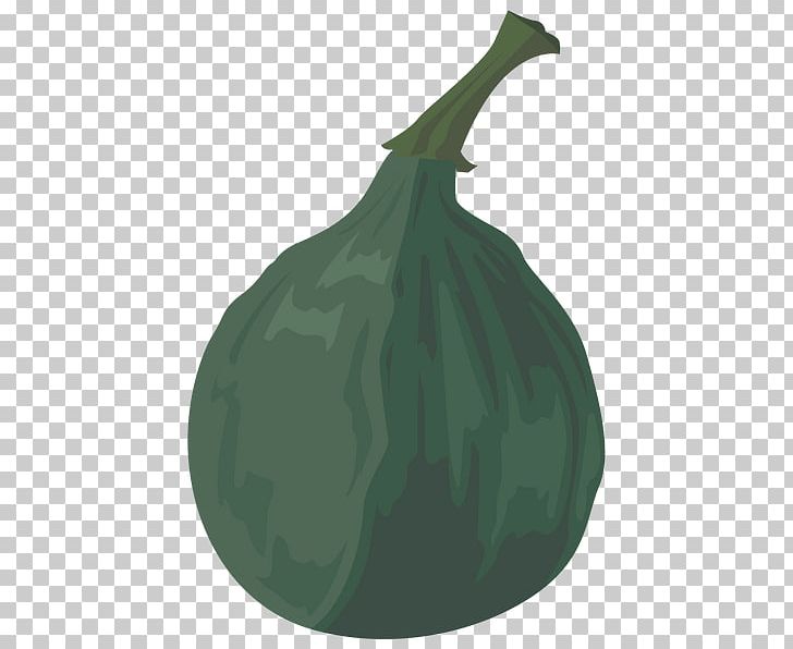 GOURD+m Cucurbita Fruit Leaf PNG, Clipart, Cucurbita, Food, Fruit, Gourd, Gourdm Free PNG Download