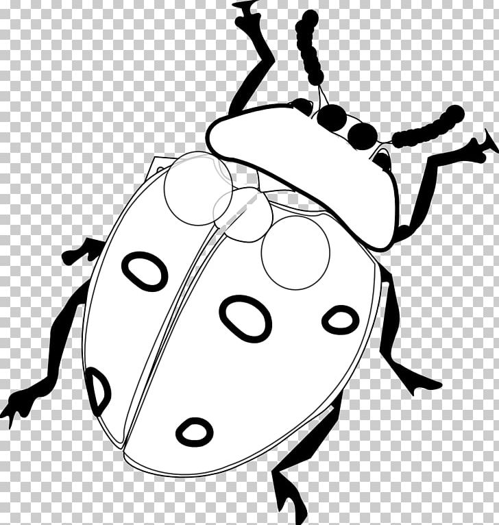 Ladybird Drawing PNG, Clipart, Artwork, Black, Black And White, Blog, Computer Icons Free PNG Download