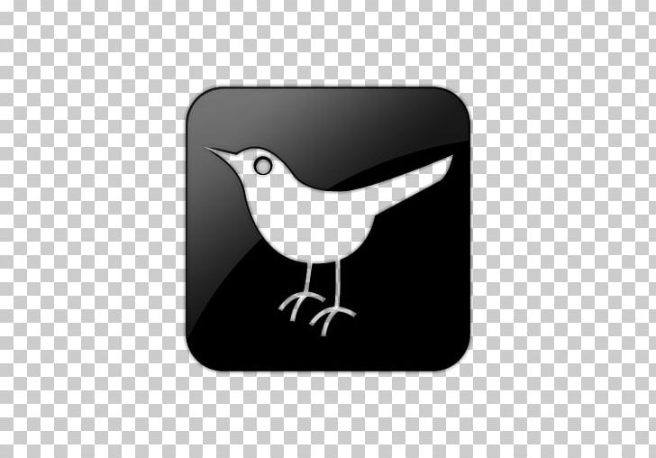 Social Media Desktop Computer Icons PNG, Clipart, Beak, Bird, Black Twitter, Blog, Computer Icons Free PNG Download