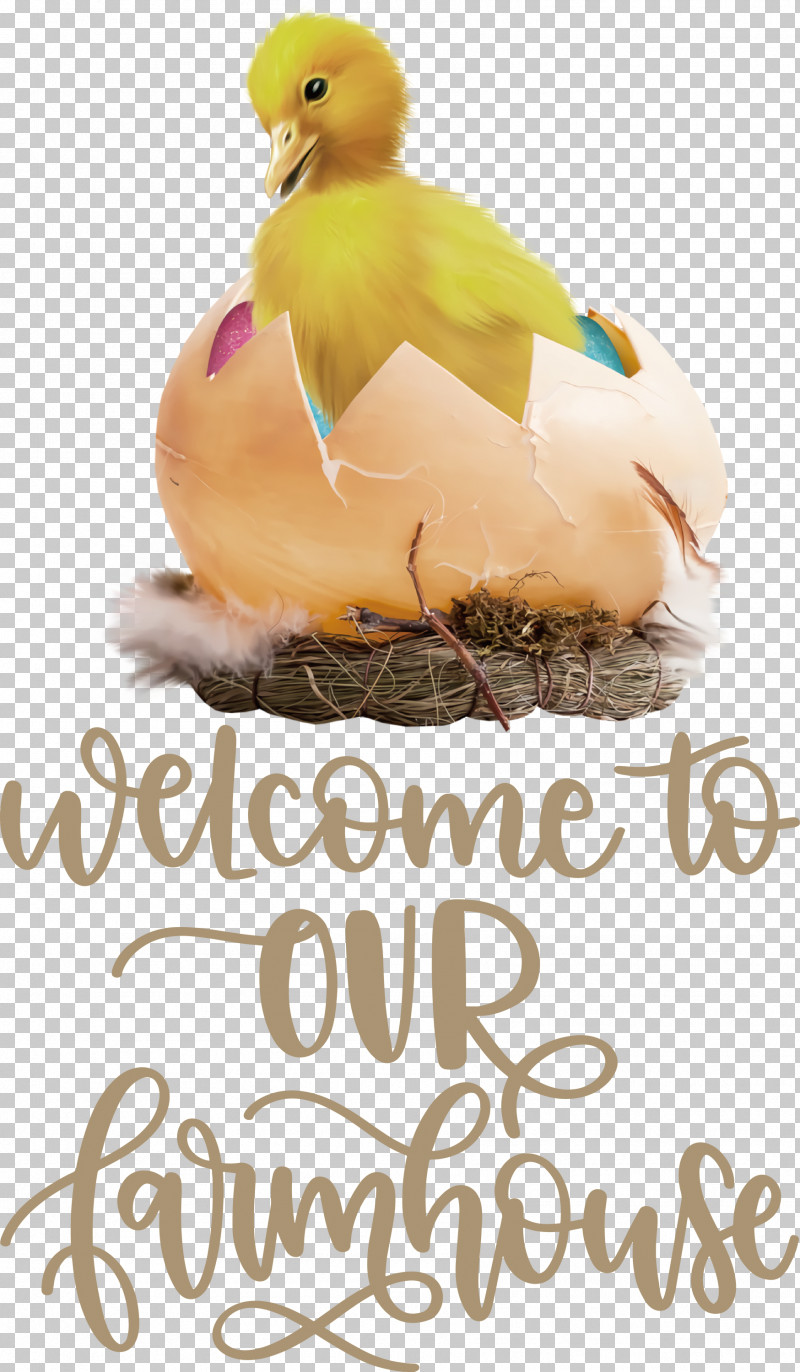 Welcome To Our Farmhouse Farmhouse PNG, Clipart, Beak, Biology, Birds, Duck, Farmhouse Free PNG Download