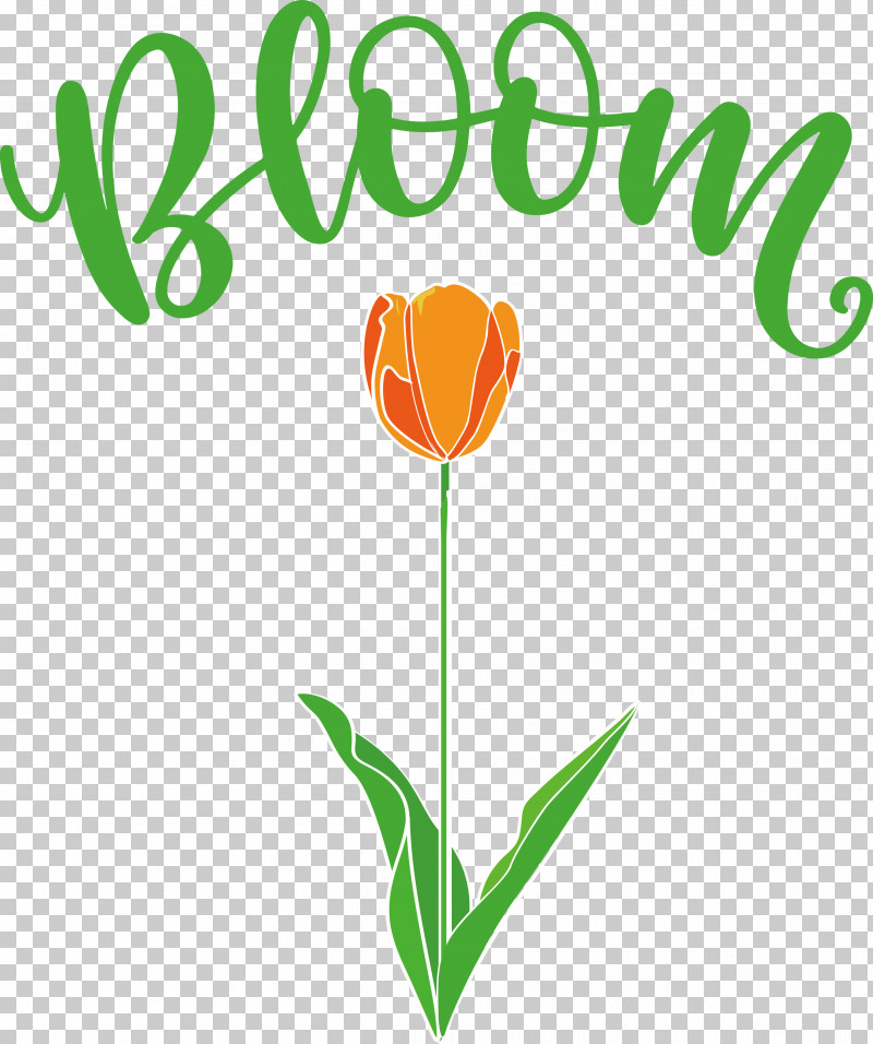 Bloom Spring Flower PNG, Clipart, Bloom, Cut Flowers, Flower, Leaf, Location Free PNG Download