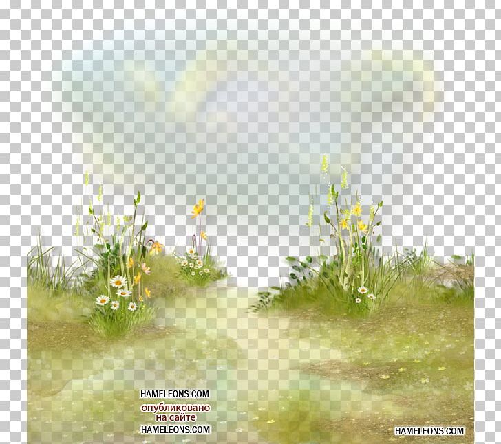 Flower Grass Herbaceous Plant PNG, Clipart, Autumn, Calm, Computer Wallpaper, Desktop Wallpaper, Ecoregion Free PNG Download