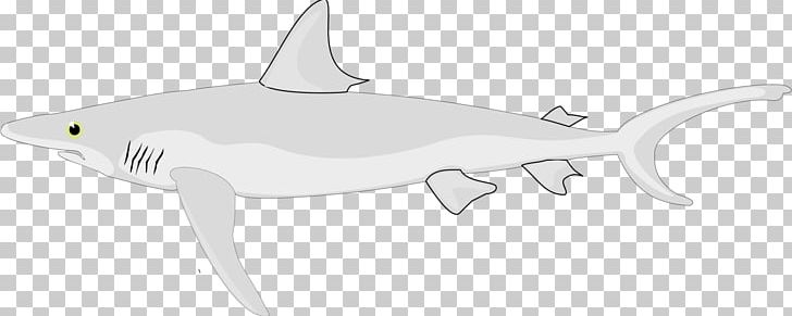 Requiem Shark Chondrichthyes Fish PNG, Clipart, Angle, Animal, Animal Figure, Animals, Cartilage Free PNG Download