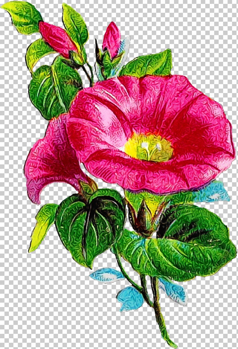 Garden Roses PNG, Clipart, Annual Plant, Anthurium, Artificial Flower, Beach Rose, Cabbage Rose Free PNG Download