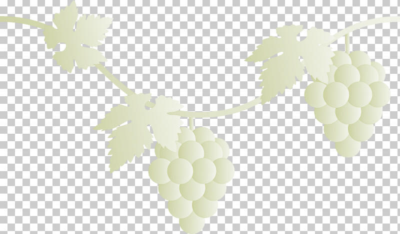 Grape Grapes Fruit PNG, Clipart, Berry, Flower, Food, Fruit, Grape Free PNG Download