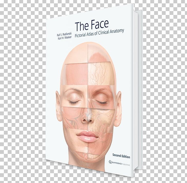 Anatomy Atlas Ilustrado De Anatomia Book グラフィックスフェイス: 臨床解剖図譜 Nose PNG, Clipart, Anatomy, Book, Cheek, Chin, Clinical Anatomy Free PNG Download