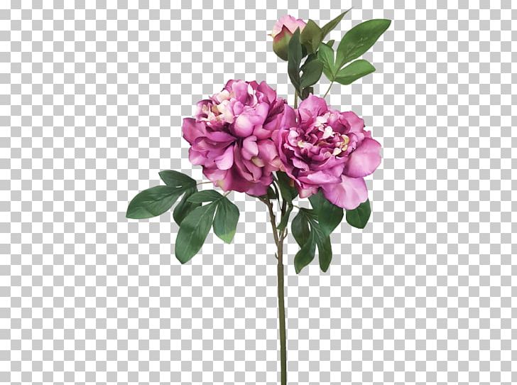Cut Flowers Rosaceae Plant Stem Lilac Rose PNG, Clipart, Branch, Branching, Cut Flowers, Flower, Flowering Plant Free PNG Download