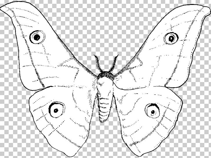 Nymphalidae Moth Line Art Butterfly Drawing PNG, Clipart, Angle, Artwork, Black And White, Brush Footed Butterfly, Butterfly Free PNG Download