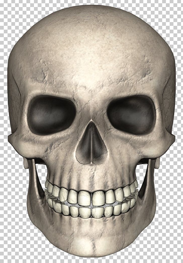 Skull Pixabay PNG, Clipart, Bone, Download, Face, Head, Jaw Free PNG Download