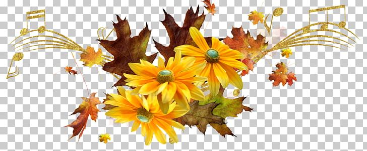 Chrysanthemum Yellow Painter PNG, Clipart, Autumn, Branch, Chrysanthemum, Chrysanths, Computer Wallpaper Free PNG Download