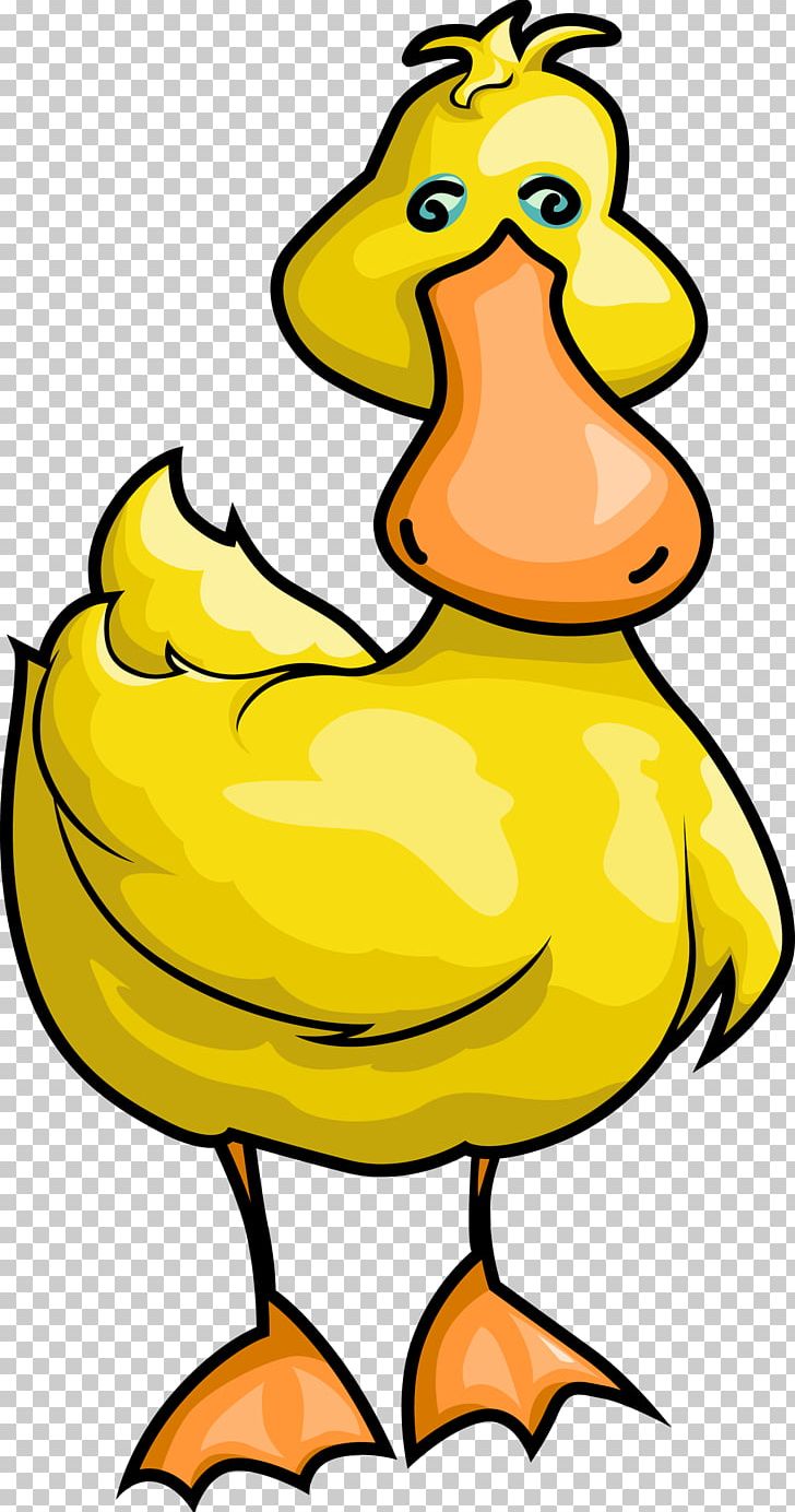 Duck Bird Goose Yellow PNG, Clipart, Animals, Artwork, Beak, Bird, Black And White Free PNG Download