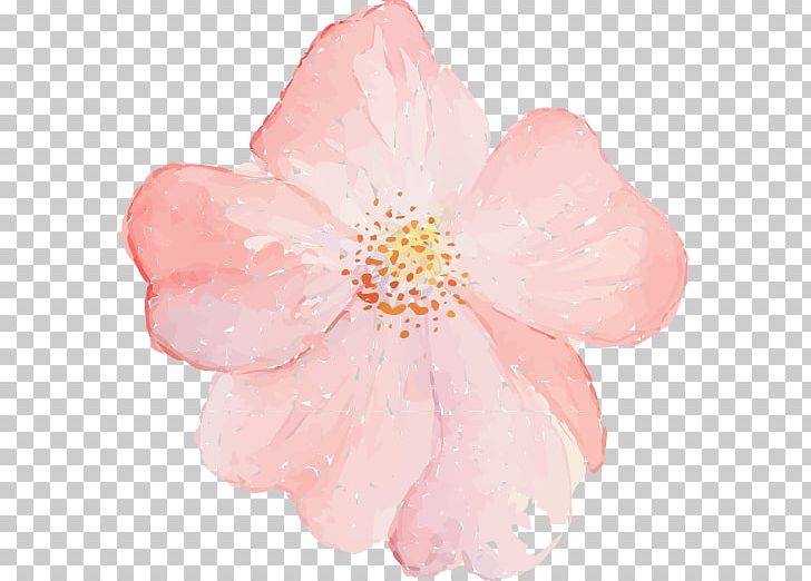 Adobe Illustrator Flower Illustration PNG, Clipart, Blossom, Cartoon, Cherry Blossom, Computer Icons, Decorative Patterns Free PNG Download