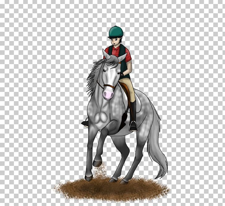 English Riding Stallion Rein Mustang Endurance Riding PNG, Clipart, Animal Sports, Bridle, Endurance Riding, English Riding, Equestrian Free PNG Download