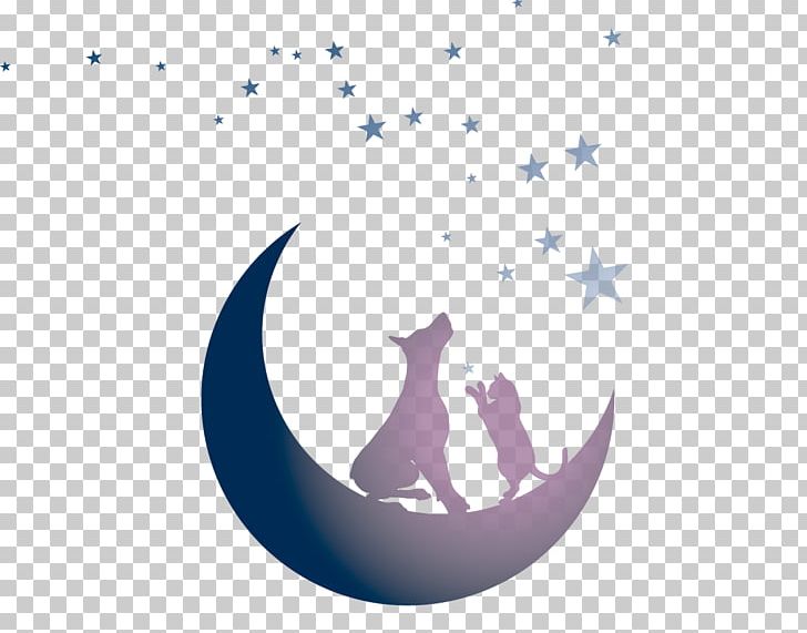 Tails By Twilight Gala Cat YouTube The Twilight Saga PNG, Clipart, Animal, Animals, Cat, Circle, Computer Wallpaper Free PNG Download