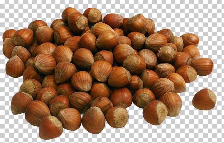 Hazelnut Denominacixf3n De Origen Nutella PNG, Clipart, Caramel, Chufa De Valencia, Cobnut, Denominacixf3n De Origen, Dried Fruit Free PNG Download