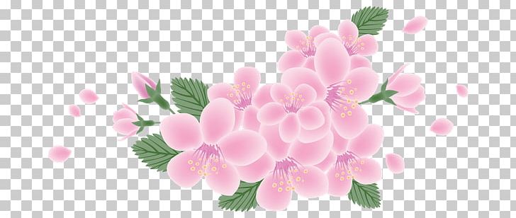Floral Design Flower Petal IFolder Cerasus PNG, Clipart, Apples, Blossom, Branch, Cerasus, Cherry Blossom Free PNG Download
