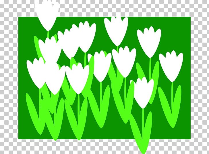 Flower Spring PNG, Clipart, Animation, Download, Flower, Free Content, Grass Free PNG Download