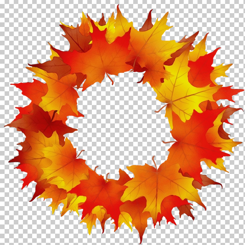 Maple Leaf PNG, Clipart, Leaf, Maple Leaf, Orange, Paint, Plant Free PNG Download