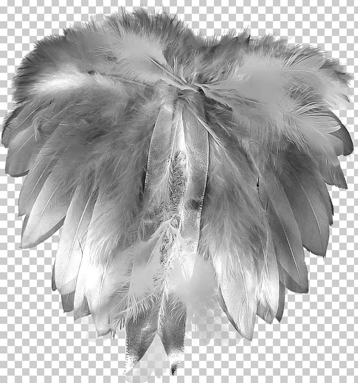 Feather Grey Plumage Gratis PNG, Clipart, Animals, Beautiful, Beautiful Feathers, Black And White, Creative Free PNG Download