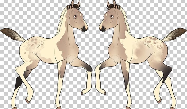 Foal Colt Stallion Mustang Mane PNG, Clipart, Animal, Animal Figure, Breeding, Colt, Deviantart Free PNG Download