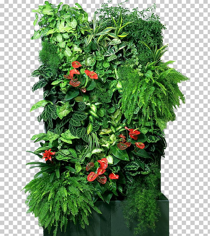 Houseplant Flowerpot Green Wall Garden PNG, Clipart, Annual Plant, Cut Flowers, Evergreen, Flower, Flowerpot Free PNG Download