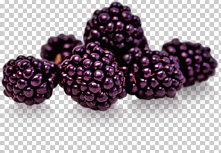 Juice Boysenberry Fruit Cream PNG, Clipart, Bead, Berry, Blackberry, Blueberry, Boysenberry Free PNG Download