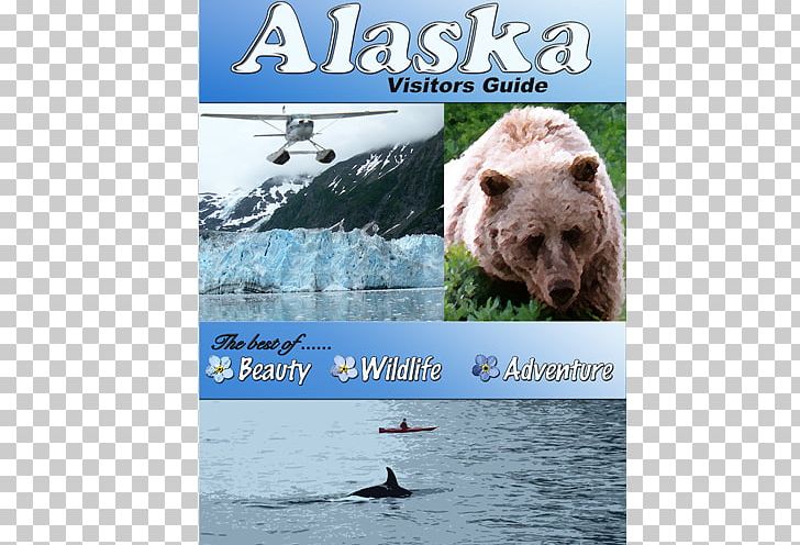 Snout Advertising Fauna Water Brand PNG, Clipart, Advertising, Brand, Creative Travel Posters, Fauna, Nature Free PNG Download