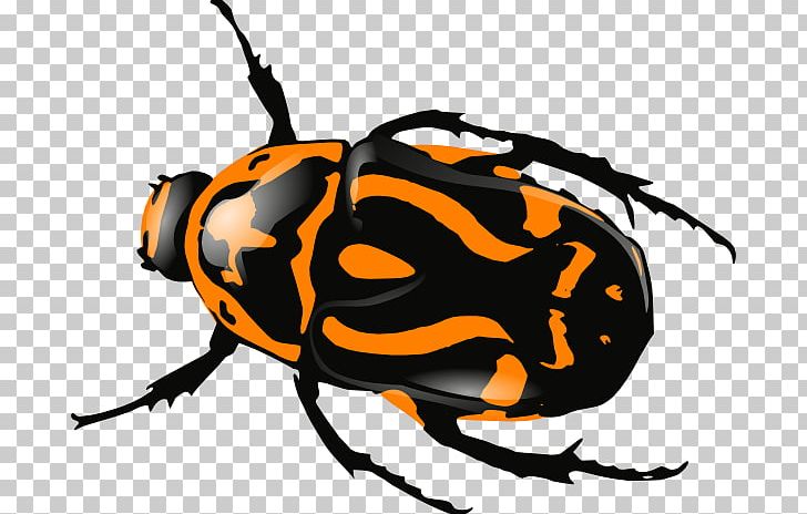 Beetle Computer Icons PNG, Clipart, Arthropod, Artwork, Beetle, Computer Icons, Download Free PNG Download
