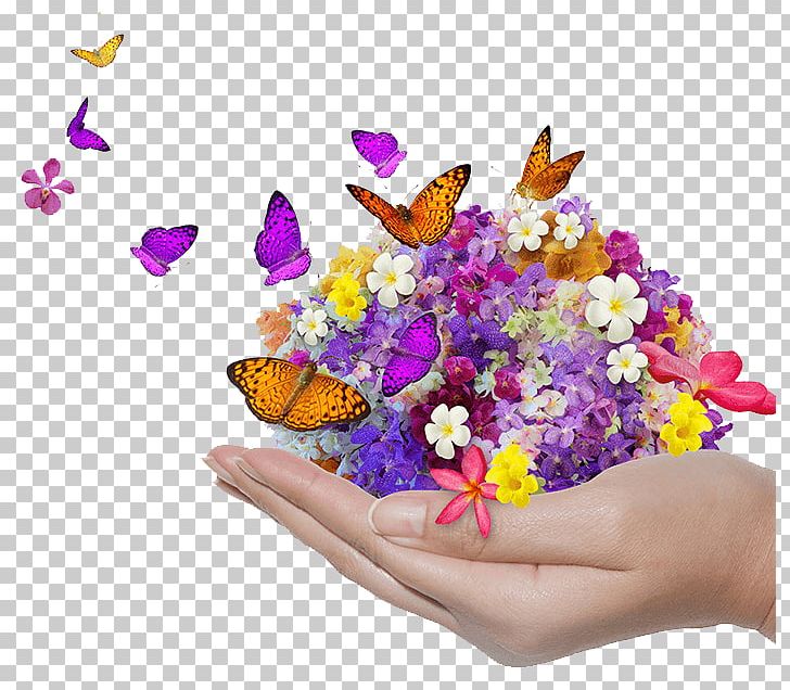 Blessing Family Flower Morning PNG, Clipart, Blessing, Butterfly, Community, Cut Flowers, Family Free PNG Download