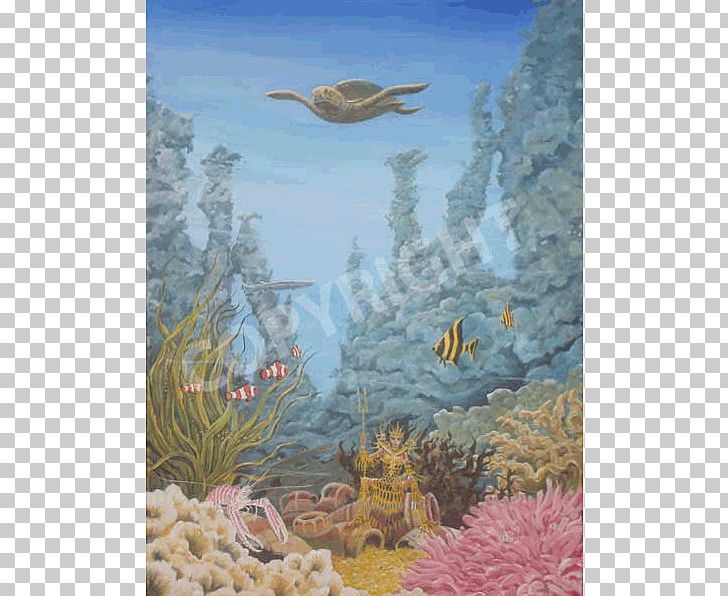 Coral Reef Marine Biology Wildlife Ecosystem Underwater PNG, Clipart, Biology, Coral, Coral Reef, Ecosystem, Fauna Free PNG Download