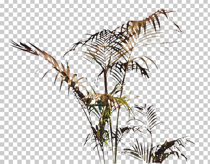 Designer Plant PNG, Clipart, Branch, Effect, Element, Feather, Food Drinks Free PNG Download