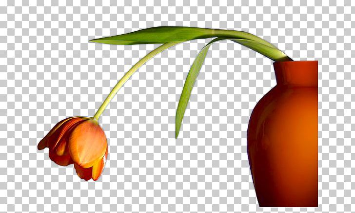 Flower Vase PNG, Clipart, Arrangement, Blume, Computer Wallpaper, Flower, Flower Arrangement Free PNG Download