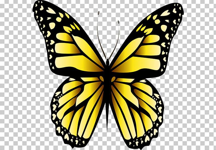 Monarch Butterfly Yellow Stock Photography PNG, Clipart, Arthropod, Brush Footed Butterfly, Butterflies, Butterfly, Flower Free PNG Download