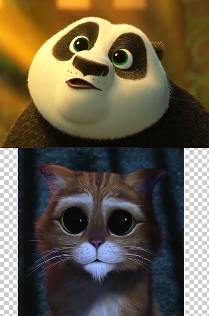Po Kung Fu Panda Lord Shen DreamWorks Animation PNG, Clipart, Back At The Barnyard, Barnyard, Cartoon, Cat, Cat Like Mammal Free PNG Download