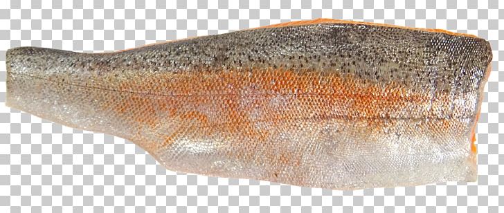 Sardine Fish Steak Oily Fish Salted Fish Trout PNG, Clipart, Animals, Atlantic Herring, Fillet, Fish, Fish Products Free PNG Download