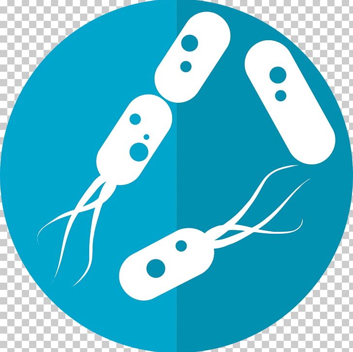Bacteria Microorganism Gut Flora Microbiota Gastrointestinal Tract PNG, Clipart, Allergy, Aqua, Artwork, Bacteria, Blue Free PNG Download