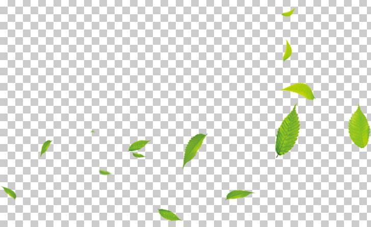 Leaf Green PNG, Clipart, Angle, Background Green, Cartoon, Download, Fall Leaves Free PNG Download