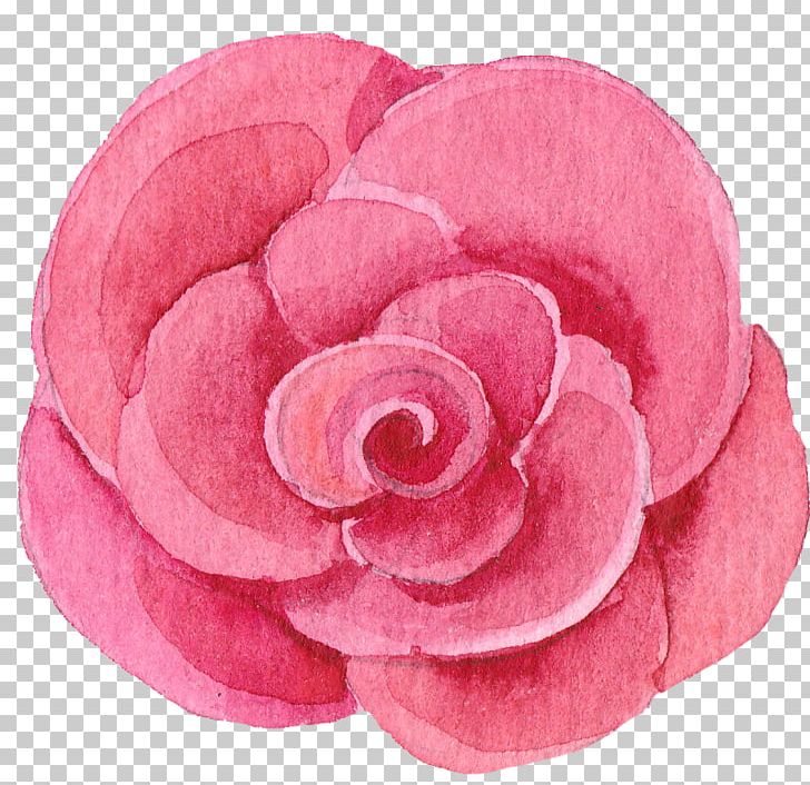 Watercolor Painting Floral Flower PNG, Clipart, Background, Camellia, Celebration, Floral, Flower Free PNG Download