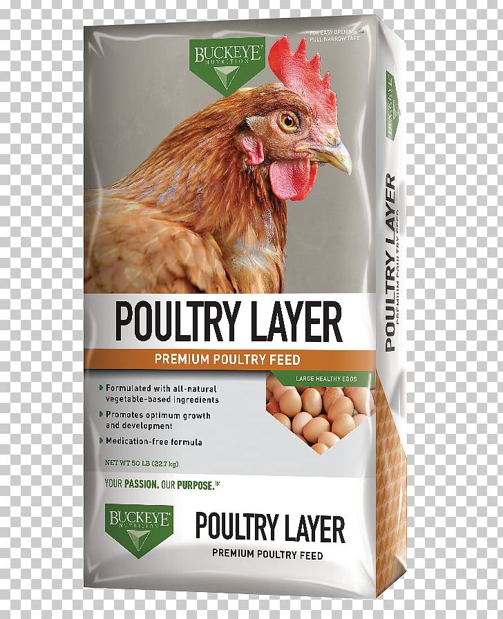 Poultry Feed Buckeye Chicken Animal Feed Crumble PNG, Clipart, Advertising, Animal Feed, Beak, Bird Food, Brand Free PNG Download