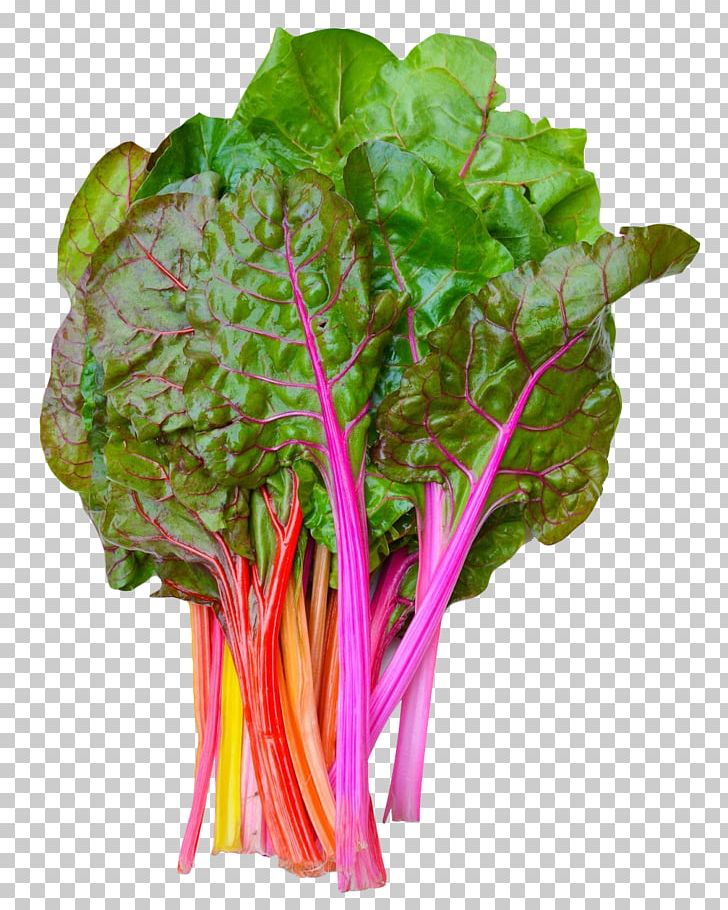 Chard Switzerland Vegetable PNG, Clipart, Chard, Common Beet, Flowerpot, Food, Leaf Free PNG Download