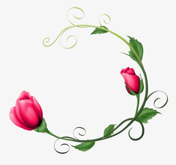 Hand-painted Red Tulips PNG, Clipart, Flowers, Green, Green Leaves, Hand Painted Clipart, Leaves Free PNG Download