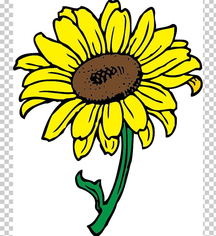 Common Sunflower Free Content PNG, Clipart, Artwork, Black And White, Blog, Chrysanths, Common Sunflower Free PNG Download