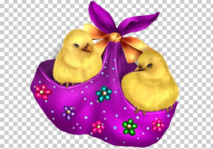Easter Egg 4POST Christmas PNG, Clipart, 4post, Beak, Birthday, Bunny, Christmas Free PNG Download