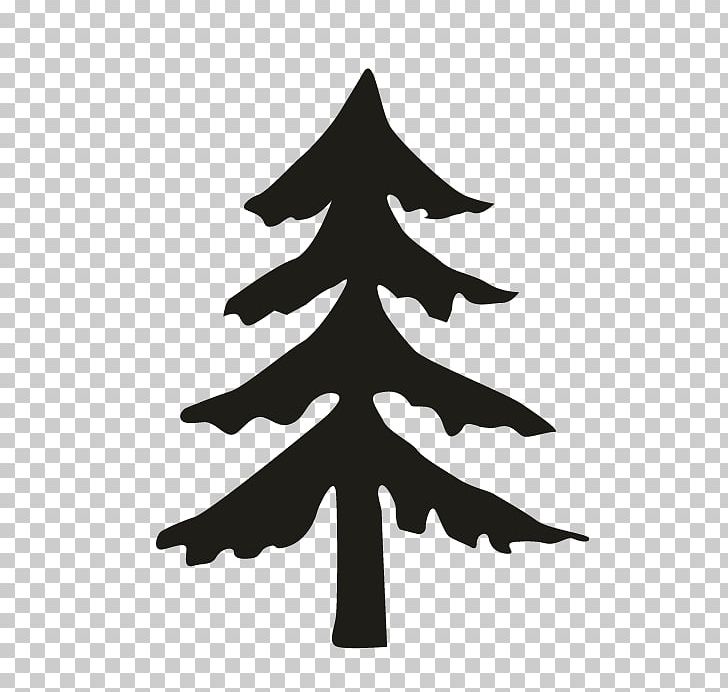 Fir Pine Spruce Christmas Tree PNG, Clipart, Black And White, Branch, Christmas, Christmas Decoration, Christmas Ornament Free PNG Download