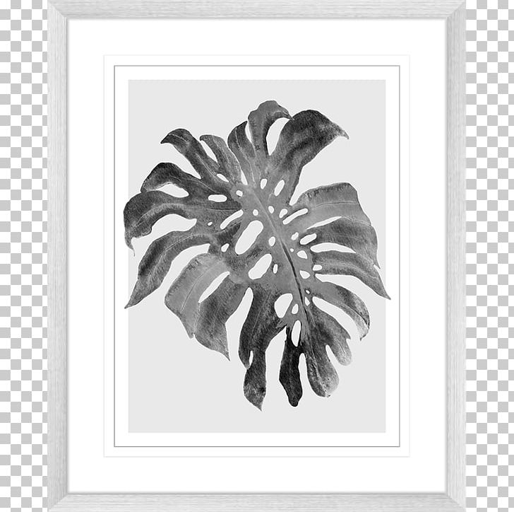 Swiss Cheese Plant Printmaking Art Drawing Paper PNG, Clipart, Architecture, Black And White, Canvas, Canvas Print, Drawing Free PNG Download