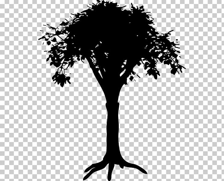 Root Tree PNG, Clipart, Arecaceae, Black And White, Branch, Computer Wallpaper, Drawing Free PNG Download